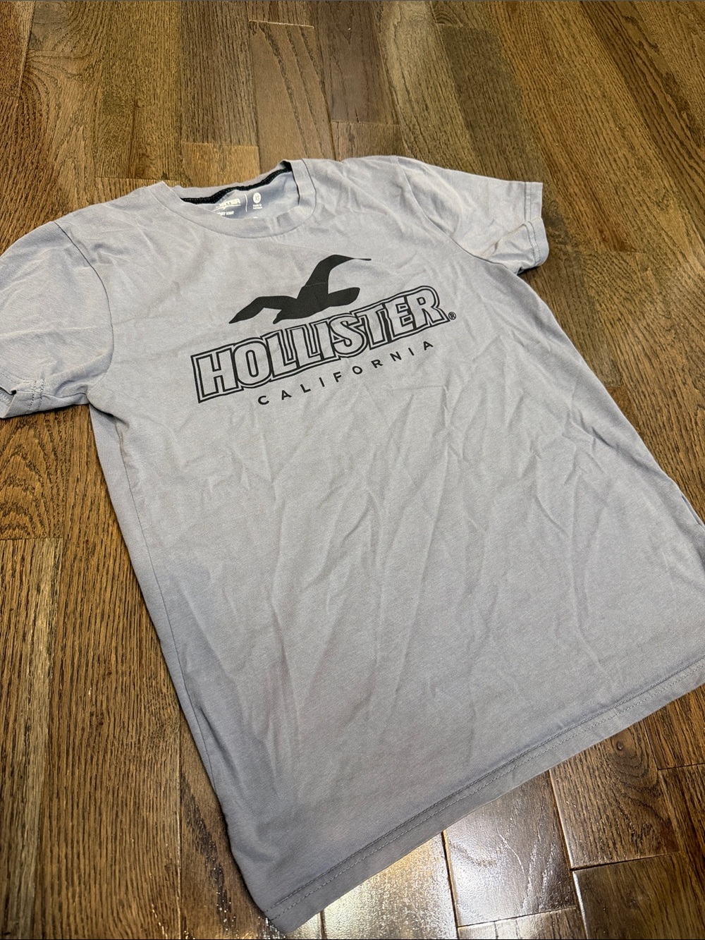 Hollister Light Gray/Blue Slate Crewneck Tee with Black Logo